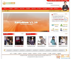 企業(yè)網(wǎng)站建設(shè)全攻略 模板選擇與代理代辦服務(wù)解析