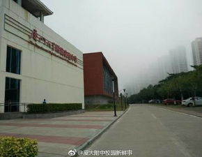 全廈門被一段震撼平流霧刷屏 大霧之下,廈門人竟成段子手